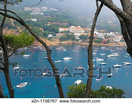 Aerial view of Fornells area viewed from Aiguablava Begur Costa Brava Baix Empord? Catalunya Spain View Large Photo Image Stock Photo - Aerial view of Fornells area viewed from Aiguablava Begur Costa Brava Baix Empord? Catalunya Spain. Fotosearch
