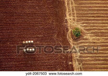 Stock Image - Aerial view of Mallorca agricultural lands, Mallorca, Balearic Island, Spain.. Fotosearch