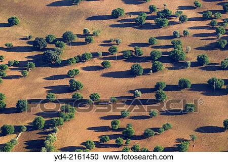 Aerial view of Mallorca land, Balearic Island, Spain. View Large Photo Image Stock Image - Aerial view of Mallorca land, Balearic Island, Spain.. Fotosearch