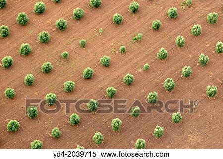 Aerial view of Mallorca land, Mallorca, Balearic Island, Spain. View Large Photo Image Stock Photography - Aerial view of Mallorca land, Mallorca, Balearic Island, Spain.. Fotosearch