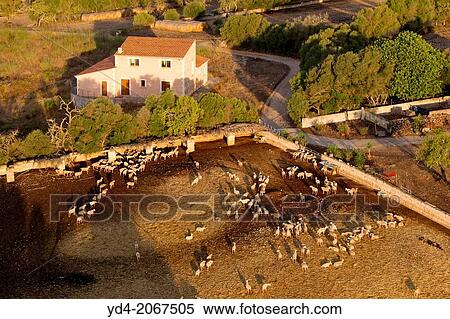 Stock Photography - Aerial view of Mallorca lands, Mallorca, Balearic Island, Spain.. Fotosearch