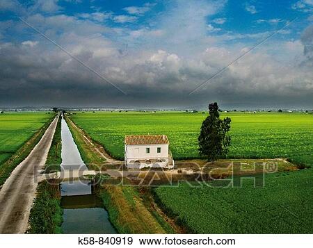 Aerial view of rice paddies and Cottage in the Ebro Delta, Catalonia, Spain View Large Photo Image Stock Photo - Aerial view of rice paddies and Cottage in the Ebro Delta, Catalonia, Spain. Fotosearch