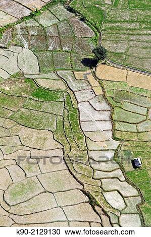 Aerial view of rice paddies, Mae Hong Son, Thailand, Southeast Asia. View Large Photo Image Stock Image - Aerial view of rice paddies, Mae Hong Son, Thailand, Southeast Asia.. Fotosearch