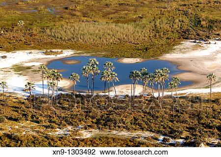 Aerial View of the Okavango Delta, Botswana View Large Photo Image Stock Image - Aerial View of the Okavango Delta, Botswana. Fotosearch