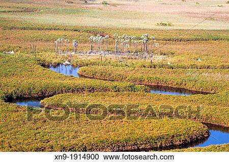 Aerial View of the Okavango Delta, Botswana View Large Photo Image Stock Image - Aerial View of the Okavango Delta, Botswana. Fotosearch