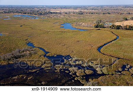 Aerial View of the Okavango Delta, Botswana View Large Photo Image Stock Photo - Aerial View of the Okavango Delta, Botswana. Fotosearch