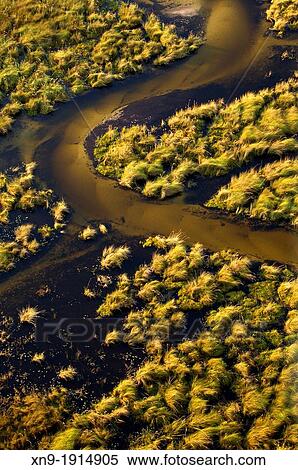 Aerial View of the Okavango Delta, Botswana View Large Photo Image Stock Photography - Aerial View of the Okavango Delta, Botswana. Fotosearch