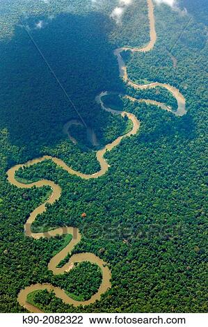 Aerial view of the thick rainforest, Papua, Indonesia, Southeast Asia. View Large Photo Image Stock Image - Aerial view of the thick rainforest, Papua, Indonesia, Southeast Asia.. Fotosearch