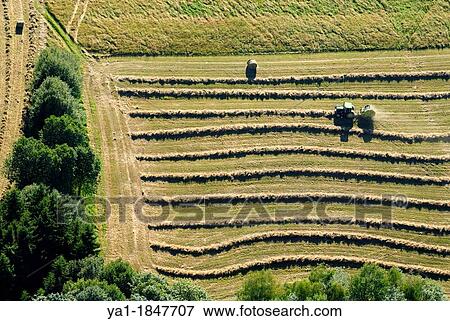 Aerial view of tractor in harvest, East of Moselle, Lorraine, France View Large Photo Image Stock Photo - Aerial view of tractor in harvest, East of Moselle, Lorraine, France. Fotosearch