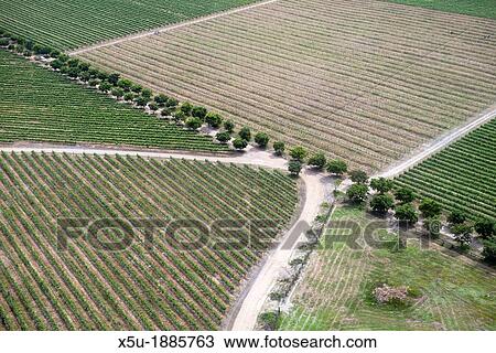 Aerial view of vineyards near Hermanus and Walker Bay, Overberg, Western Cape, South africa View Large Photo Image Stock Image - Aerial view of vineyards near Hermanus and Walker Bay, Overberg, Western Cape, South africa. Fotosearch