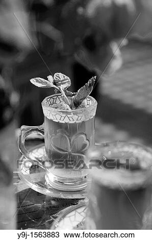 Africa, Tunisia, Tozeur Tea from fresh mint leaves View Large Photo Image Stock Image - Africa, Tunisia, Tozeur Tea from fresh mint leaves. Fotosearch