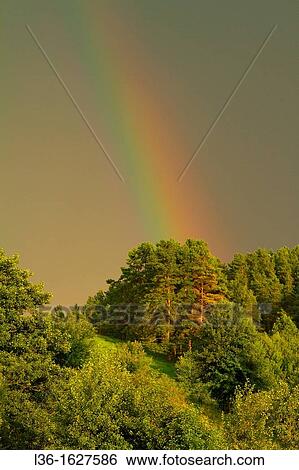 After a storm Suwalski region Poland View Large Photo Image Stock Photograph - After a storm Suwalski region Poland. Fotosearch