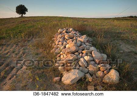 After harvest Suwalski region Poland View Large Photo Image Stock Image - After harvest Suwalski region Poland. Fotosearch