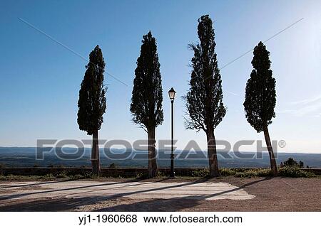 Afternoon in Matarraa region, panorama with four cypress, Teruel, Aragon Community, Spain. View Large Photo Image Stock Photo - Afternoon in Matarraa region, panorama with four cypress, Teruel, Aragon Community, Spain.. Fotosearch