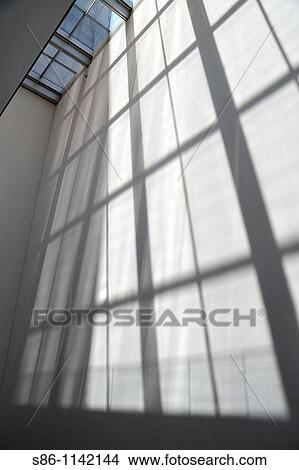 Picture - Afternoon Sunlight. Fotosearch