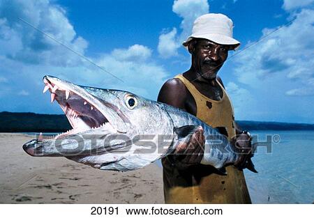 Aged Fisherman and his barracuda. Dominican Republic View Large Photo Image Stock Image - Aged Fisherman and his barracuda. Dominican Republic. Fotosearch