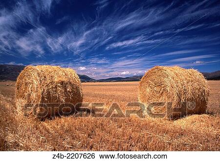 Stock Photograph - Agricultural landscape, AUvila, Spain. Hay bales after the harvest time.. Fotosearch