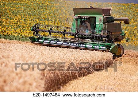Agricultural machinery Combine harvester on field of wheat? Learza? estate Near Estella, Navarre, Spain View Large Photo Image Picture - Agricultural machinery Combine harvester on field of wheat? Learza? estate Near Estella, Navarre, Spain. Fotosearch