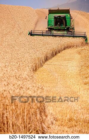 Agricultural machinery Combine harvester on field of wheat? Learza? estate Near Estella, Navarre, Spain View Large Photo Image Picture - Agricultural machinery Combine harvester on field of wheat? Learza? estate Near Estella, Navarre, Spain. Fotosearch