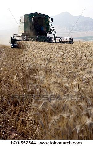 Agricultural machinery. Combine harvester on field of wheat.? Learza? estate. Near Estella, Navarre, Spain View Large Photo Image Picture - Agricultural machinery. Combine harvester on field of wheat.? Learza? estate. Near Estella, Navarre, Spain. Fotosearch