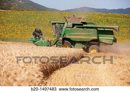 Agricultural machinery Combine harvester on field of wheat? Learza? estate Near Estella, Navarre, Spain View Large Photo Image Stock Image - Agricultural machinery Combine harvester on field of wheat? Learza? estate Near Estella, Navarre, Spain. Fotosearch