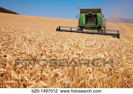 Agricultural machinery Combine harvester on field of wheat? Learza? estate Near Estella, Navarre, Spain View Large Photo Image Stock Image - Agricultural machinery Combine harvester on field of wheat? Learza? estate Near Estella, Navarre, Spain. Fotosearch