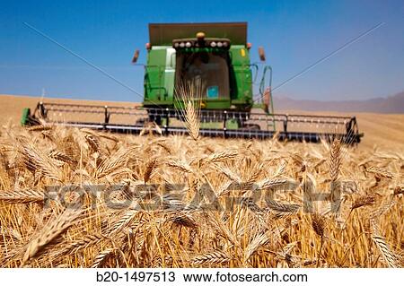 Agricultural machinery Combine harvester on field of wheat? Learza? estate Near Estella, Navarre, Spain View Large Photo Image Stock Image - Agricultural machinery Combine harvester on field of wheat? Learza? estate Near Estella, Navarre, Spain. Fotosearch