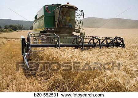 Stock Image - Agricultural machinery. Combine harvester on field of wheat.? Learza? estate. Near Estella, Navarre, Spain. Fotosearch