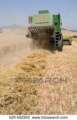 Agricultural machinery. Combine harvester on field of wheat.? Learza? estate. Near Estella, Navarre, Spain View Large Photo Image Stock Image - Agricultural machinery. Combine harvester on field of wheat.? Learza? estate. Near Estella, Navarre, Spain. Fotosearch