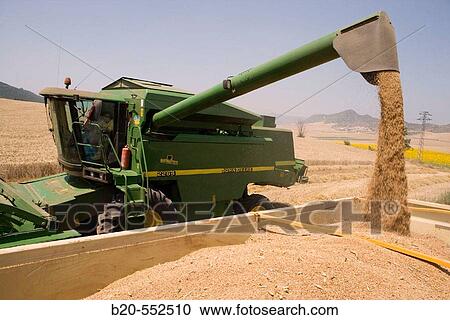 Agricultural machinery. Combine harvester on field of wheat.? Learza? estate. Near Estella, Navarre, Spain View Large Photo Image Stock Image - Agricultural machinery. Combine harvester on field of wheat.? Learza? estate. Near Estella, Navarre, Spain. Fotosearch