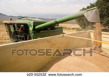 Agricultural machinery. Combine harvester on field of wheat.? Learza? estate. Near Estella, Navarre, Spain View Large Photo Image Stock Image - Agricultural machinery. Combine harvester on field of wheat.? Learza? estate. Near Estella, Navarre, Spain. Fotosearch