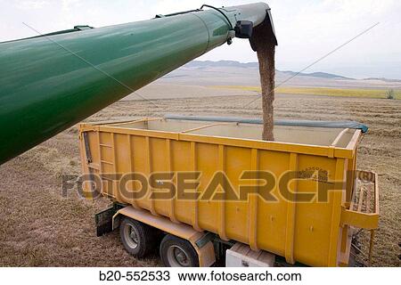 Stock Image - Agricultural machinery. Combine harvester on field of wheat.? Learza? estate. Near Estella, Navarre, Spain. Fotosearch