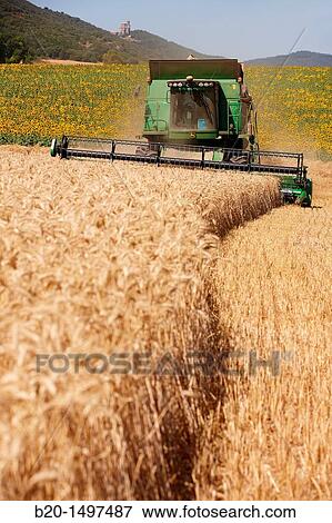 Agricultural machinery Combine harvester on field of wheat? Learza? estate Near Estella, Navarre, Spain View Large Photo Image Stock Photo - Agricultural machinery Combine harvester on field of wheat? Learza? estate Near Estella, Navarre, Spain. Fotosearch