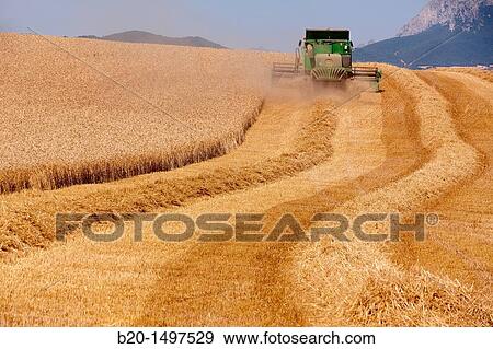 Stock Photo - Agricultural machinery Combine harvester on field of wheat? Learza? estate Near Estella, Navarre, Spain. Fotosearch