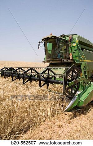 Agricultural machinery. Combine harvester on field of wheat.? Learza? estate. Near Estella, Navarre, Spain View Large Photo Image Stock Photo - Agricultural machinery. Combine harvester on field of wheat.? Learza? estate. Near Estella, Navarre, Spain. Fotosearch