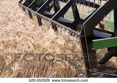 Stock Photo - Agricultural machinery. Combine harvester on field of wheat.? Learza? estate. Near Estella, Navarre, Spain. Fotosearch