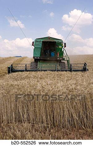 Agricultural machinery. Combine harvester on field of wheat.? Learza? estate. Near Estella, Navarre, Spain View Large Photo Image Stock Photograph - Agricultural machinery. Combine harvester on field of wheat.? Learza? estate. Near Estella, Navarre, Spain. Fotosearch