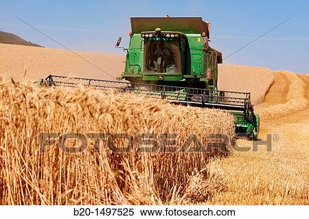 Agricultural machinery Combine harvester on field of wheat? Learza? estate Near Estella, Navarre, Spain View Large Photo Image Stock Photography - Agricultural machinery Combine harvester on field of wheat? Learza? estate Near Estella, Navarre, Spain. Fotosearch
