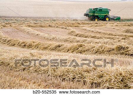 Agricultural machinery. Combine harvester on field of wheat.? Learza? estate. Near Estella, Navarre, Spain View Large Photo Image Stock Photography - Agricultural machinery. Combine harvester on field of wheat.? Learza? estate. Near Estella, Navarre, Spain. Fotosearch