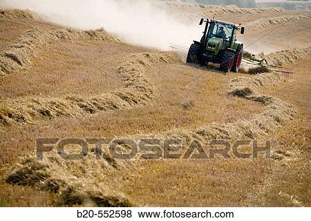Agricultural machinery. Windrower. Harvesting of cereals,? Learza? estate. Near Estella, Navarre, Spain View Large Photo Image Stock Photo - Agricultural machinery. Windrower. Harvesting of cereals,? Learza? estate. Near Estella, Navarre, Spain. Fotosearch