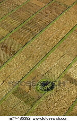 Stock Image - Agricultural test area, aerial view. Sk? ne. Sweden.. Fotosearch