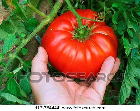 Agriculture & Farming View Large Photo Image Picture - Agriculture & Farming. Fotosearch