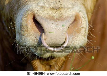 Agriculture & Farming View Large Photo Image Picture - Agriculture & Farming. Fotosearch