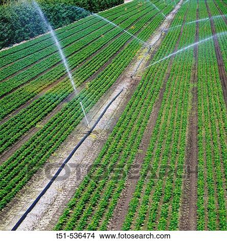 Agriculture & Farming View Large Photo Image Picture - Agriculture & Farming. Fotosearch