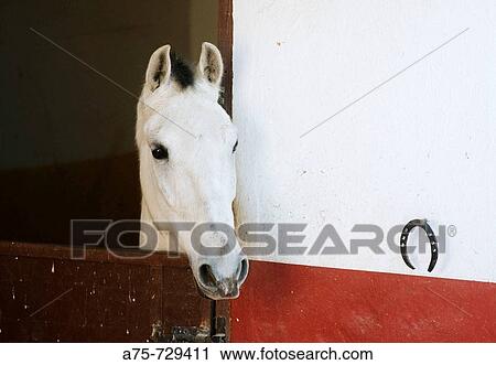 Agriculture & Farming View Large Photo Image Stock Image - Agriculture & Farming. Fotosearch