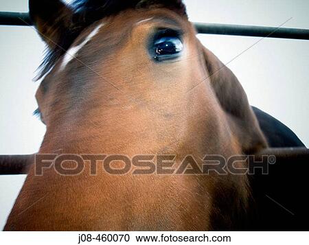 Agriculture & Farming View Large Photo Image Stock Image - Agriculture & Farming. Fotosearch