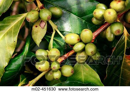 Agriculture & Farming View Large Photo Image Stock Image - Agriculture & Farming. Fotosearch