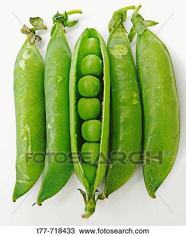 Agriculture & Farming View Large Photo Image Stock Image - Agriculture & Farming. Fotosearch
