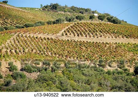 Agriculture & Farming View Large Photo Image Stock Image - Agriculture & Farming. Fotosearch