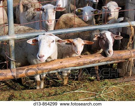 Agriculture & Farming View Large Photo Image Stock Photo - Agriculture & Farming. Fotosearch